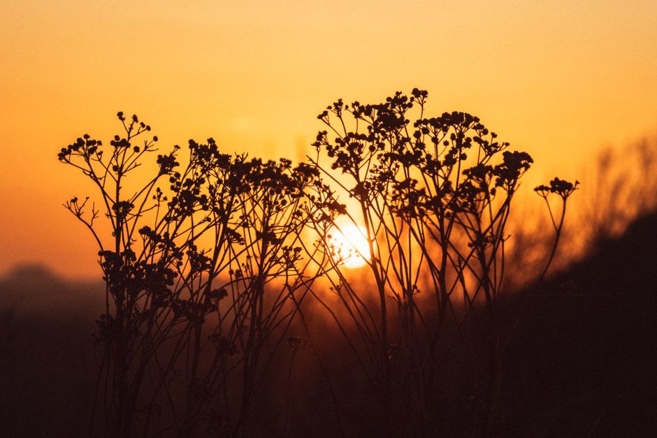 Interieurdecoratie: kleurrijke zonsondergang en panterprint. Interieurdecoratie: kleurrijke zonsondergang en panterprint.