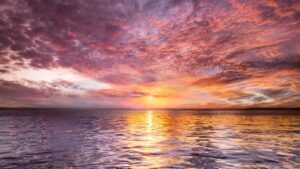 Styling met zonsondergangstroken en panterprint schilderijen